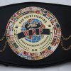 wkf-pro-point-fighting-world-belt